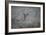 Foggy Morning Buck-Jai Johnson-Framed Giclee Print