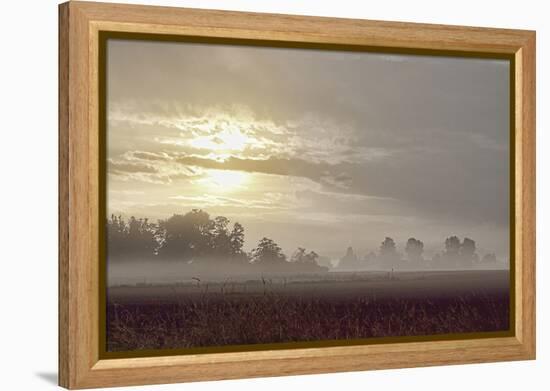 Foggy Morning I-Dana Styber-Framed Premier Image Canvas