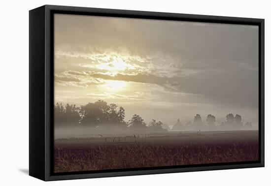 Foggy Morning I-Dana Styber-Framed Premier Image Canvas