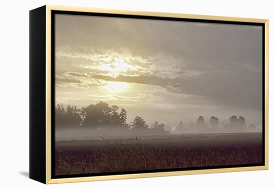 Foggy Morning I-Dana Styber-Framed Premier Image Canvas