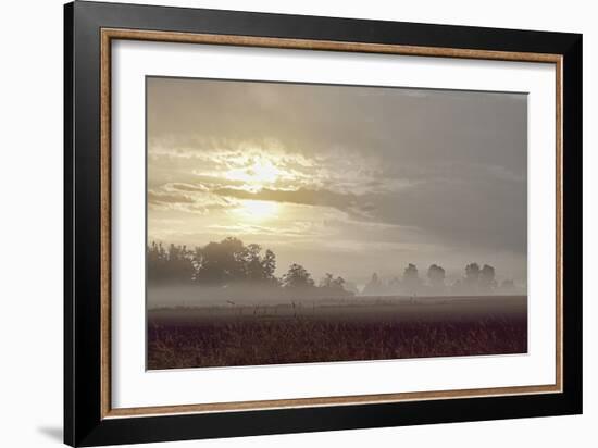 Foggy Morning I-Dana Styber-Framed Photographic Print