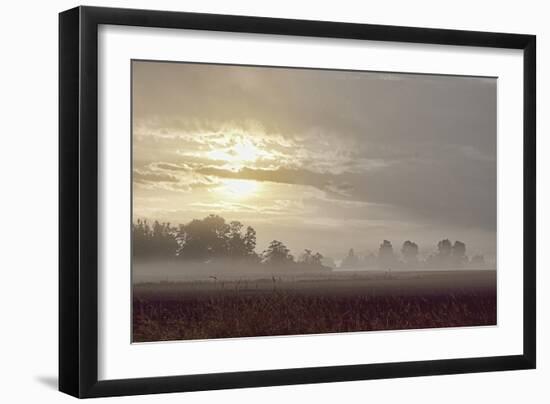 Foggy Morning I-Dana Styber-Framed Photographic Print