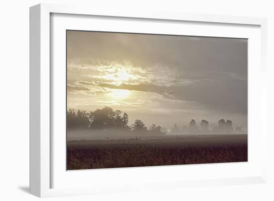 Foggy Morning I-Dana Styber-Framed Photographic Print