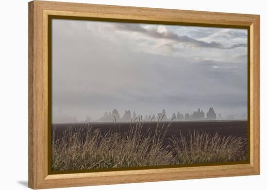 Foggy Morning II-Dana Styber-Framed Premier Image Canvas