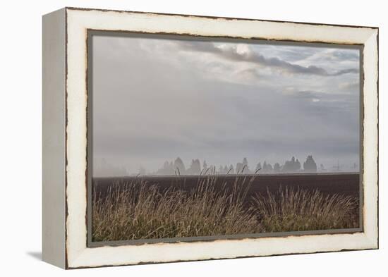 Foggy Morning II-Dana Styber-Framed Premier Image Canvas