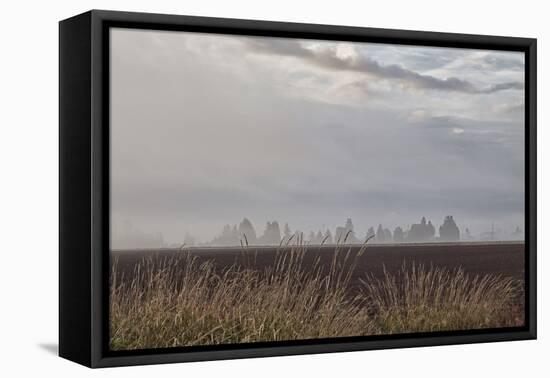 Foggy Morning II-Dana Styber-Framed Premier Image Canvas