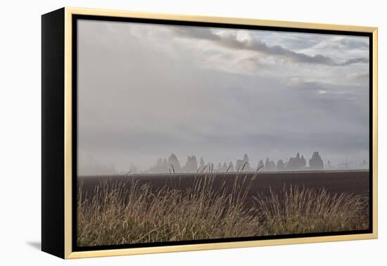 Foggy Morning II-Dana Styber-Framed Premier Image Canvas