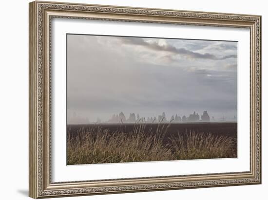 Foggy Morning II-Dana Styber-Framed Photographic Print