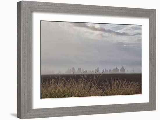 Foggy Morning II-Dana Styber-Framed Photographic Print