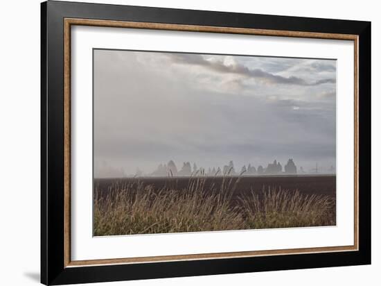 Foggy Morning II-Dana Styber-Framed Photographic Print