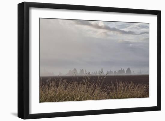 Foggy Morning II-Dana Styber-Framed Photographic Print