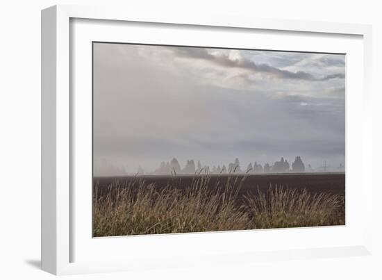 Foggy Morning II-Dana Styber-Framed Photographic Print