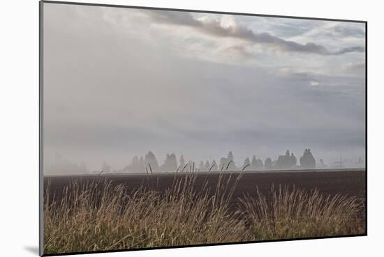 Foggy Morning II-Dana Styber-Mounted Photographic Print