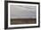 Foggy Morning II-Dana Styber-Framed Photographic Print