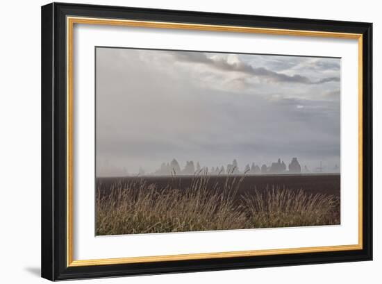 Foggy Morning II-Dana Styber-Framed Photographic Print