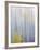Foggy Morning in Aspen Forest I-Don Paulson-Framed Giclee Print