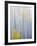 Foggy Morning in Aspen Forest I-Don Paulson-Framed Giclee Print