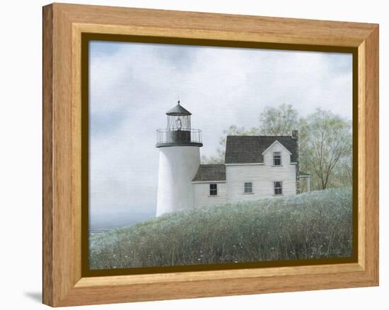 Foggy Morning In May-David Knowlton-Framed Premier Image Canvas