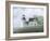 Foggy Morning In May-David Knowlton-Framed Giclee Print