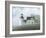 Foggy Morning In May-David Knowlton-Framed Giclee Print