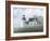 Foggy Morning In May-David Knowlton-Framed Giclee Print