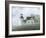 Foggy Morning In May-David Knowlton-Framed Giclee Print