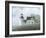 Foggy Morning In May-David Knowlton-Framed Giclee Print