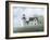 Foggy Morning In May-David Knowlton-Framed Giclee Print