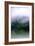 Foggy Morning In The Forest Of North Cascades National Park-Hannah Dewey-Framed Photographic Print