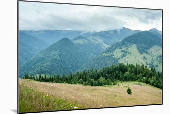 Foggy Morning Landscape with Pine Tree Highland Forest at Carpathian Mountains. Ukraine Destination-Perfect Lazybones-Mounted Photographic Print