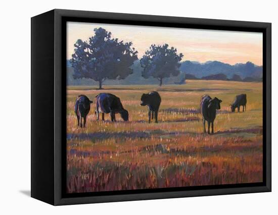 Foggy Morning Light-Patty Baker-Framed Stretched Canvas