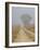 Foggy morning on a Kansas backroad-Michael Scheufler-Framed Photographic Print