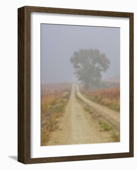 Foggy morning on a Kansas backroad-Michael Scheufler-Framed Photographic Print