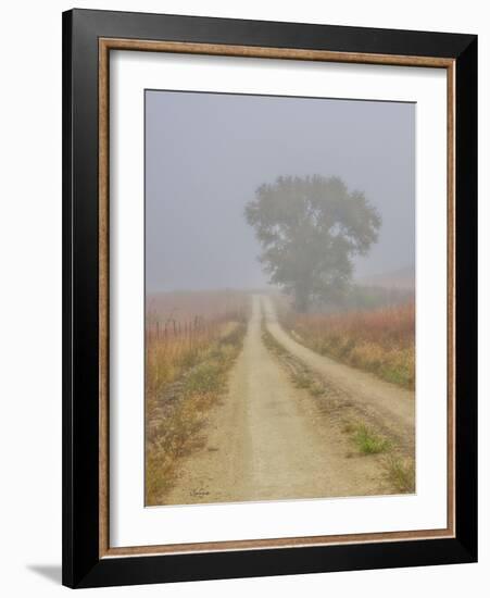 Foggy morning on a Kansas backroad-Michael Scheufler-Framed Photographic Print