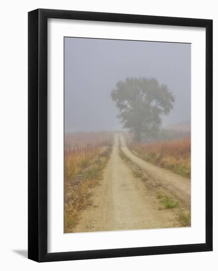 Foggy morning on a Kansas backroad-Michael Scheufler-Framed Photographic Print