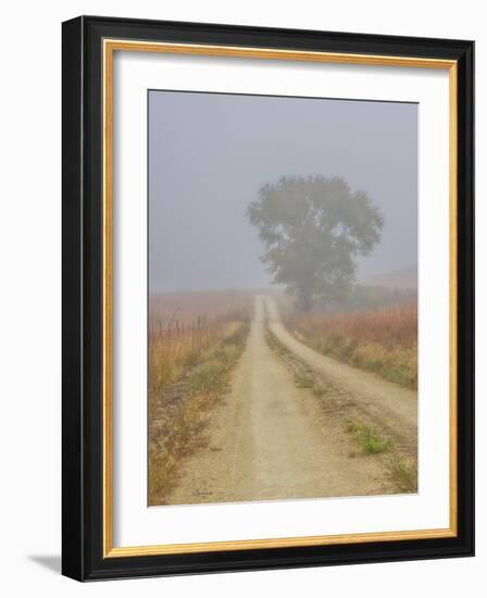 Foggy morning on a Kansas backroad-Michael Scheufler-Framed Photographic Print