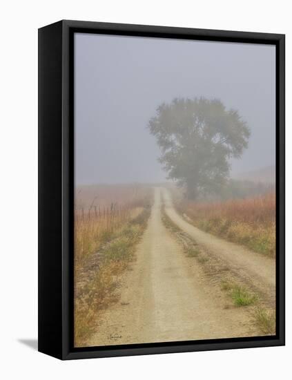 Foggy morning on a Kansas backroad-Michael Scheufler-Framed Premier Image Canvas