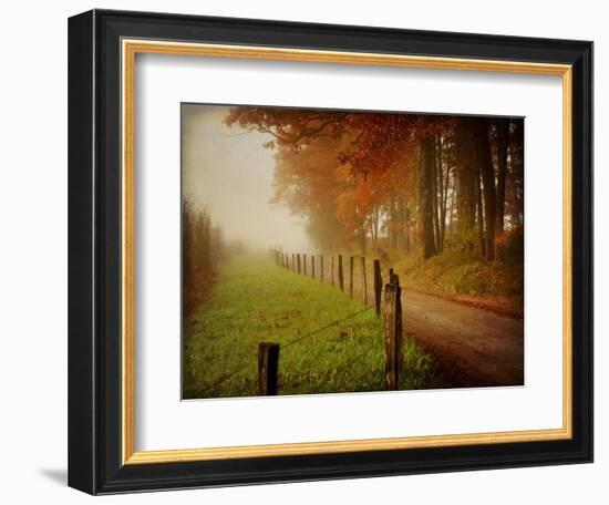 Foggy Morning on Hyatt Lane-Danny Head-Framed Art Print