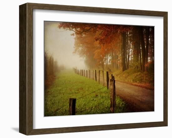 Foggy Morning on Hyatt Lane-Danny Head-Framed Art Print