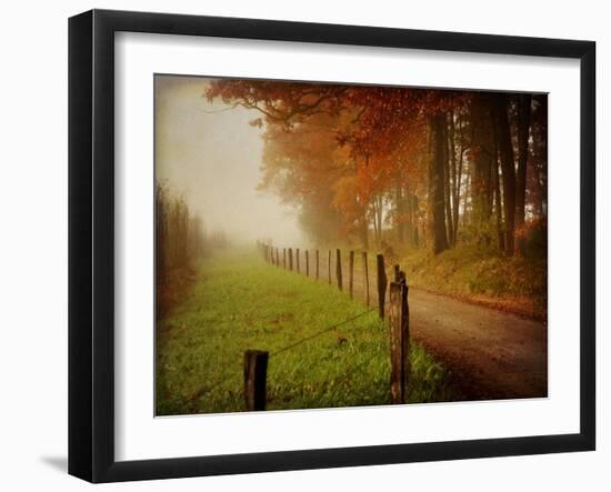 Foggy Morning on Hyatt Lane-Danny Head-Framed Art Print