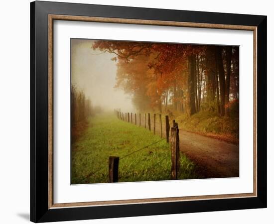 Foggy Morning on Hyatt Lane-Danny Head-Framed Art Print