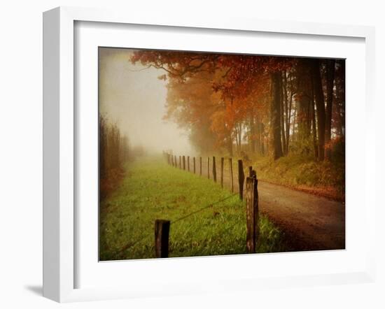 Foggy Morning on Hyatt Lane-Danny Head-Framed Art Print