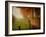 Foggy Morning on Hyatt Lane-Danny Head-Framed Art Print