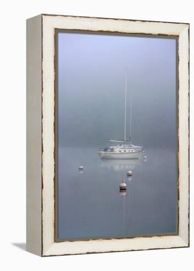 Foggy Morning-Tammy Putman-Framed Premier Image Canvas