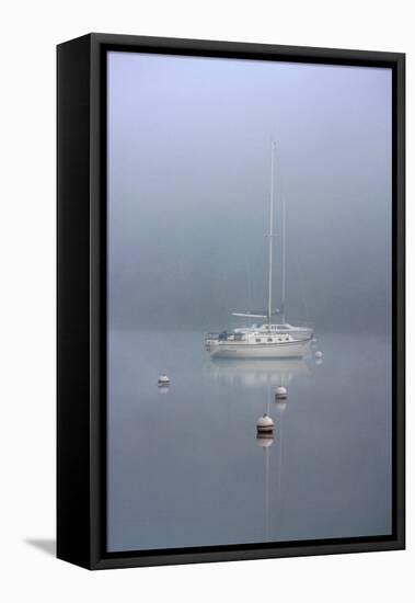 Foggy Morning-Tammy Putman-Framed Premier Image Canvas