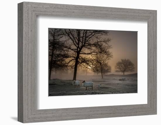 Foggy Morning-Piet Haaksma-Framed Photographic Print