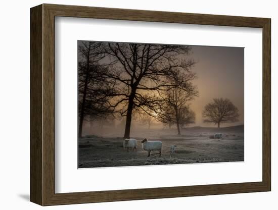 Foggy Morning-Piet Haaksma-Framed Photographic Print