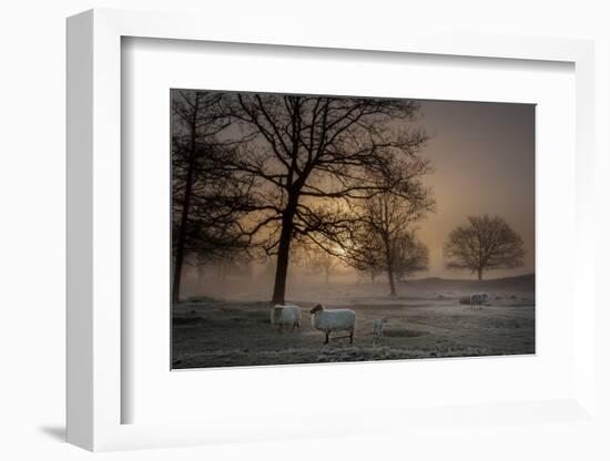 Foggy Morning-Piet Haaksma-Framed Photographic Print