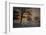 Foggy Morning-Piet Haaksma-Framed Photographic Print