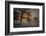 Foggy Morning-Piet Haaksma-Framed Photographic Print